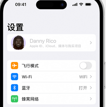 云岩appleID维修服务iPhone设置中Apple ID显示为灰色无法使用 