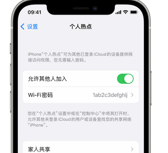 云岩apple服务站点分享iPhone上个人热点丢失了怎么办