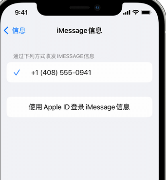 云岩apple维修iPhone上无法正常发送iMessage信息 