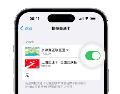 云岩apple维修点分享iPhone上更换Apple Pay快捷交通卡手绘卡面 