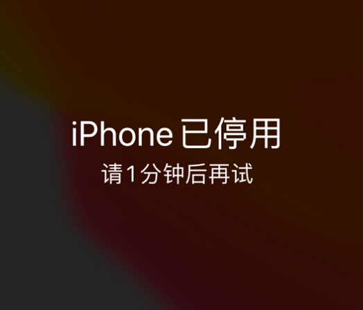 云岩苹果手机维修分享:iPhone 显示“不可用”或“已停用”怎么办？还能保留数据吗？ 