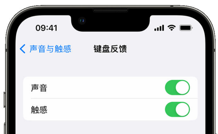 云岩苹果手机维修分享iPhone 14触感键盘使用方法 