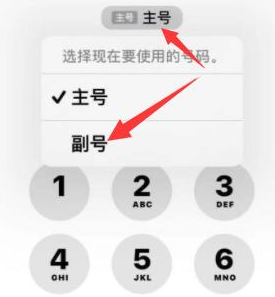 云岩苹果14维修店分享iPhone 14 Pro Max使用副卡打电话的方法 