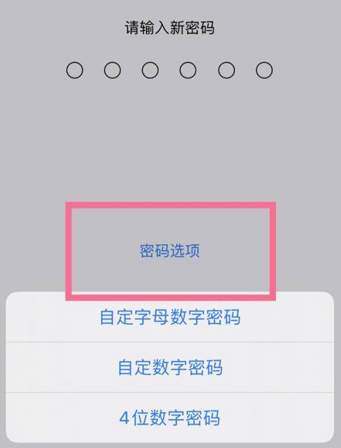 云岩苹果14维修分享iPhone 14plus设置密码的方法 