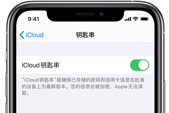 云岩苹果手机维修分享在 iPhone 上开启 iCloud 钥匙串之后会储存哪些信息 